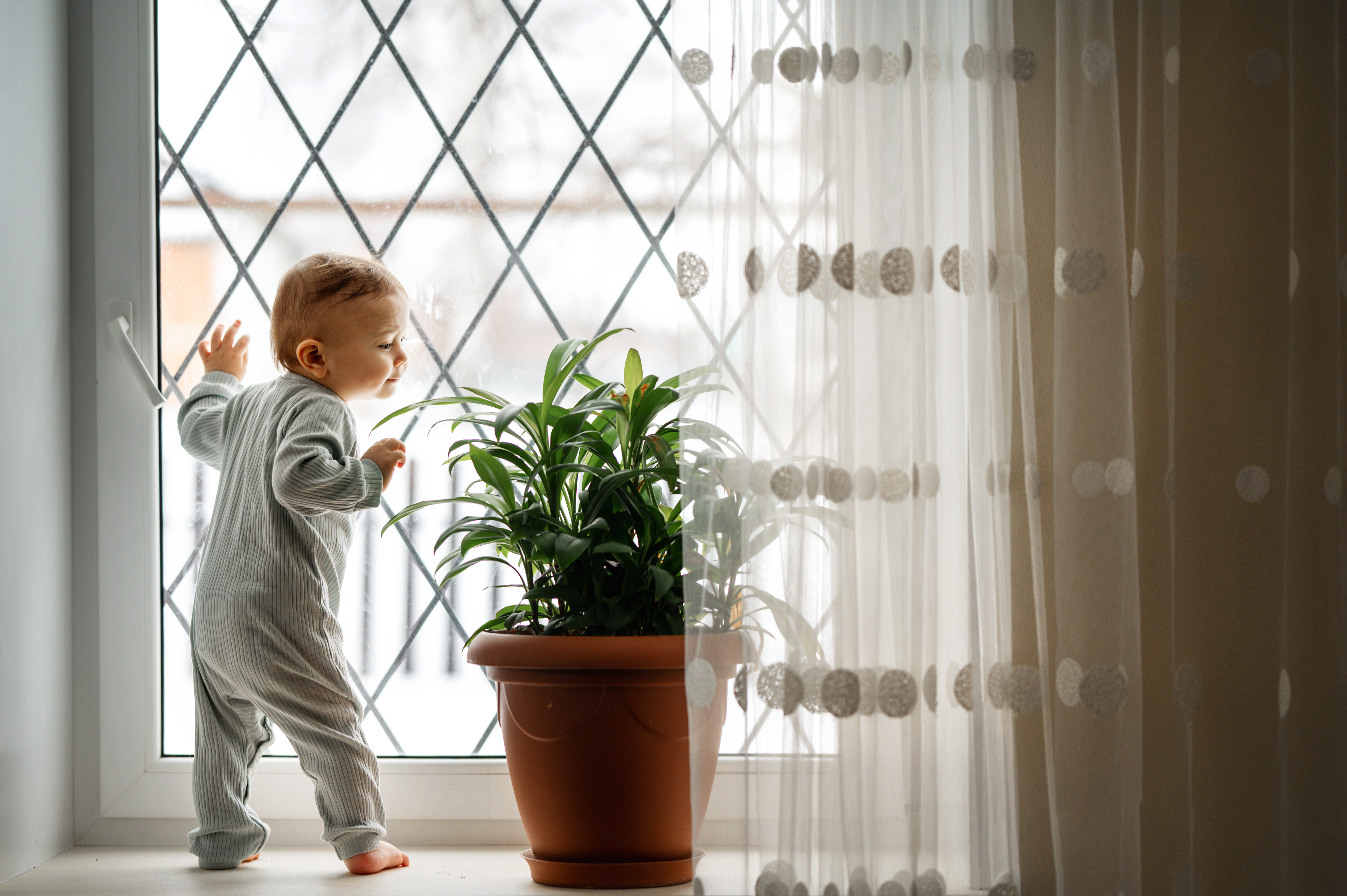 Indoor Air Quality Testing