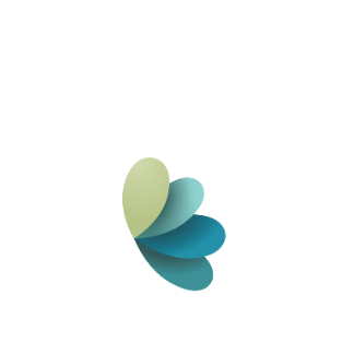 Discount Icon