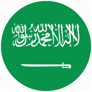 Saudi Arabia Flag Icon 24