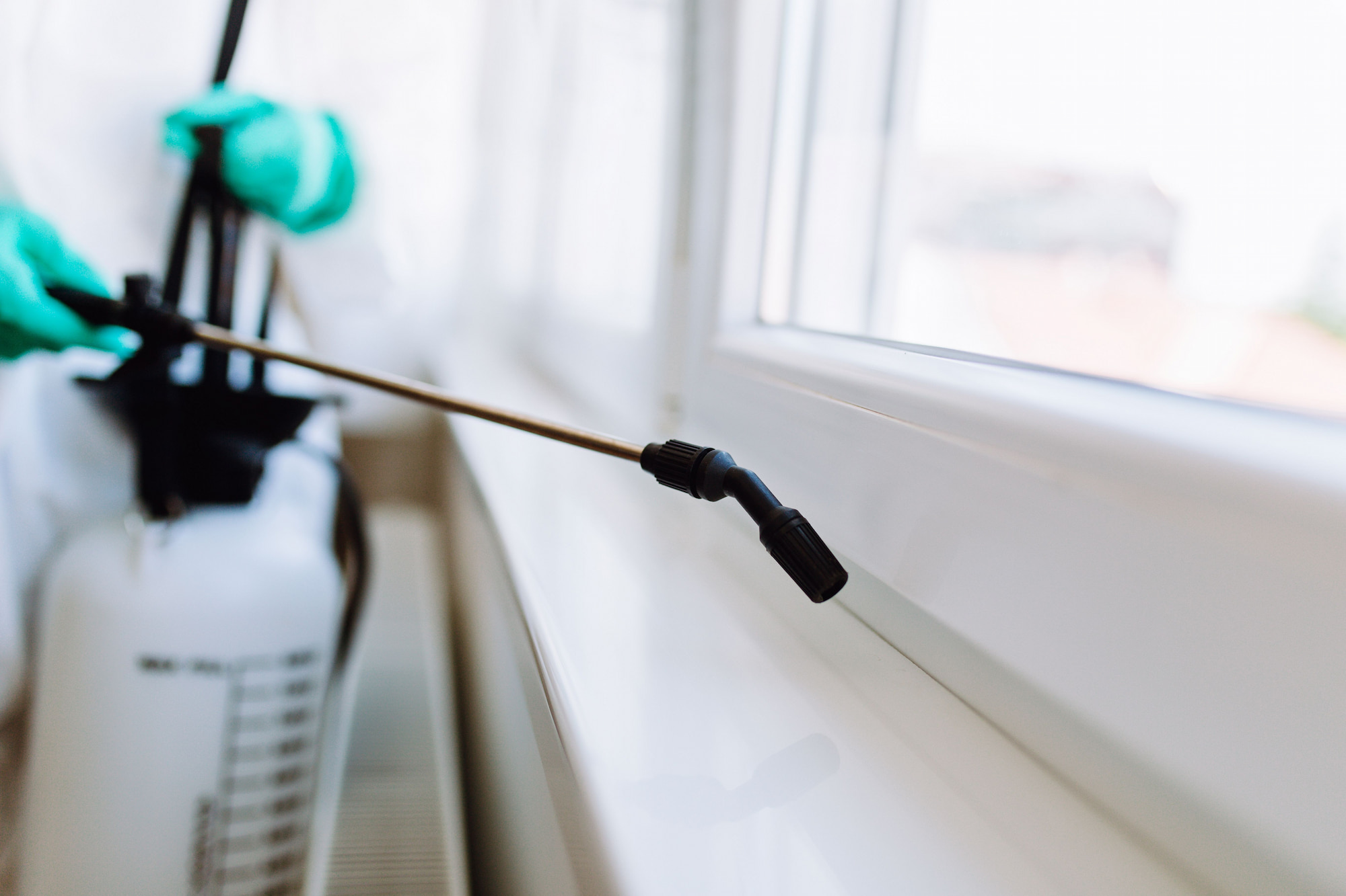 Pest Control Services