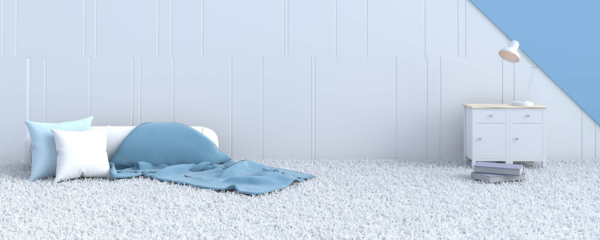 carpet shampooing