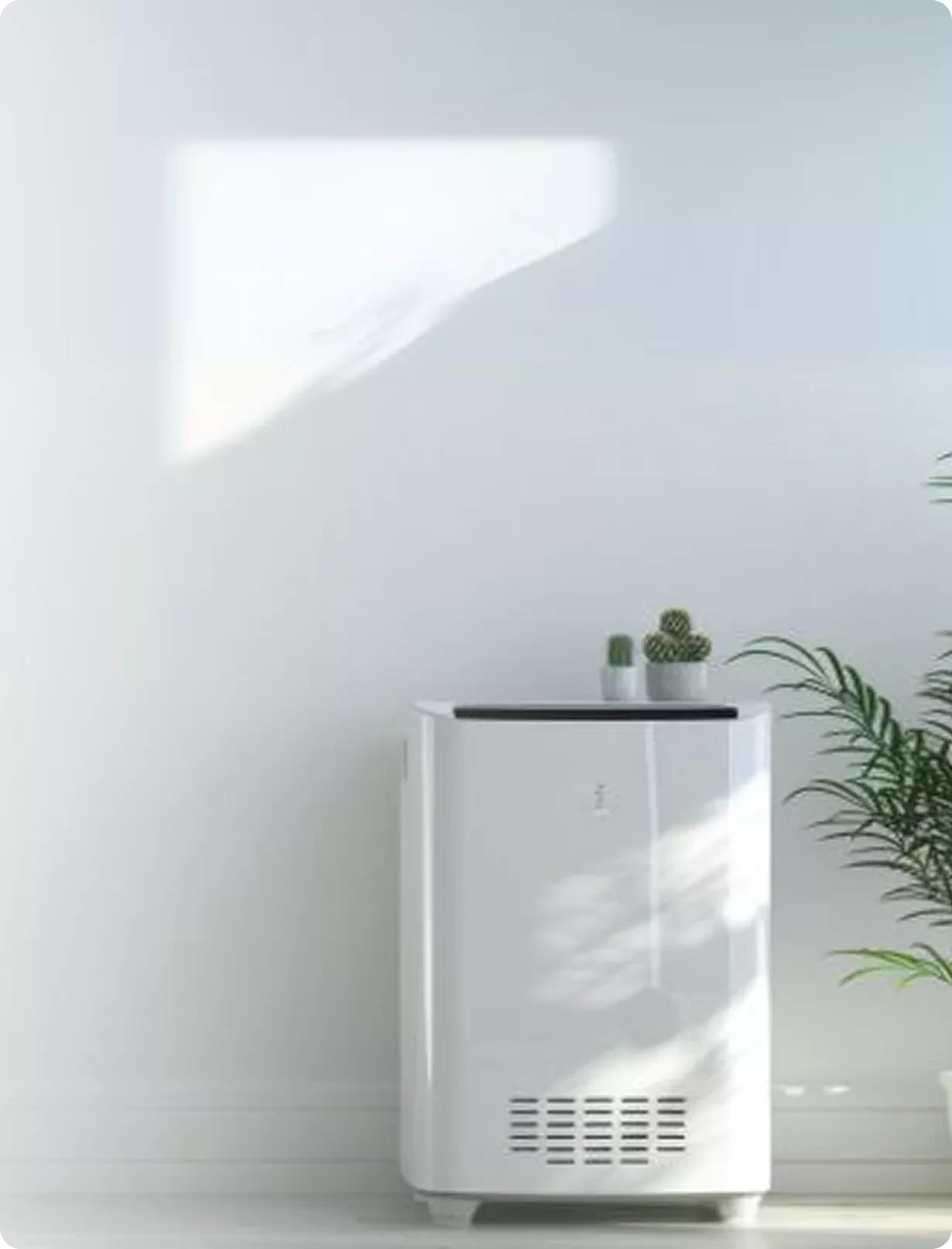 Holistic Wellness Products