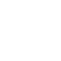 WhatsApp Icon