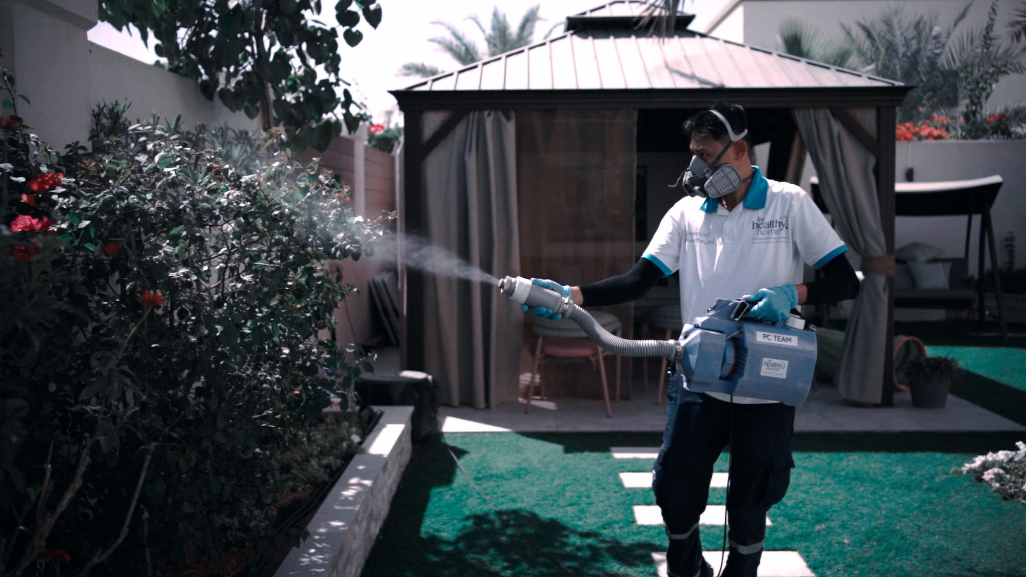 Pest Control Services