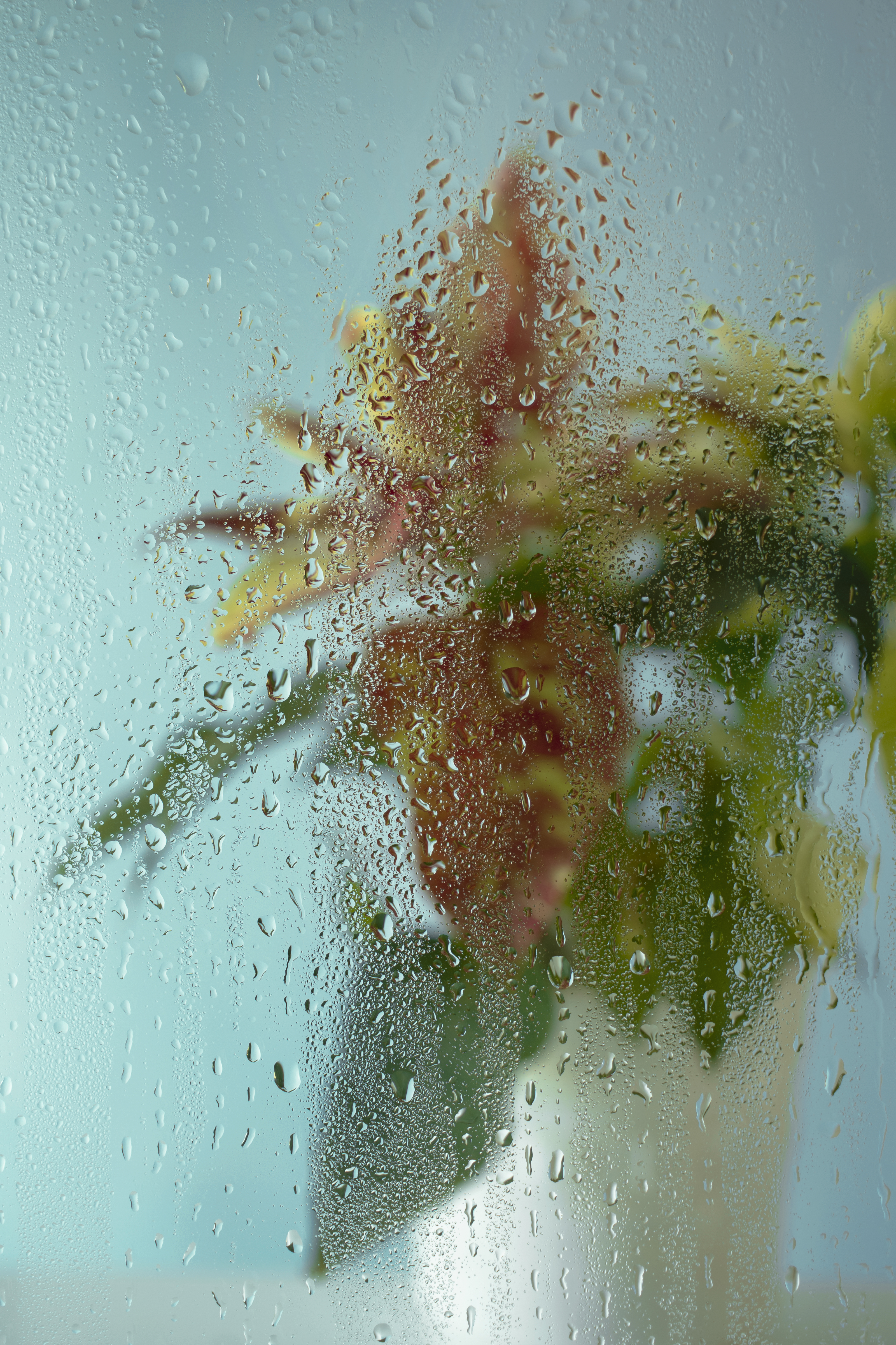 How to Use Your Air Conditioner to Reduce Humidity