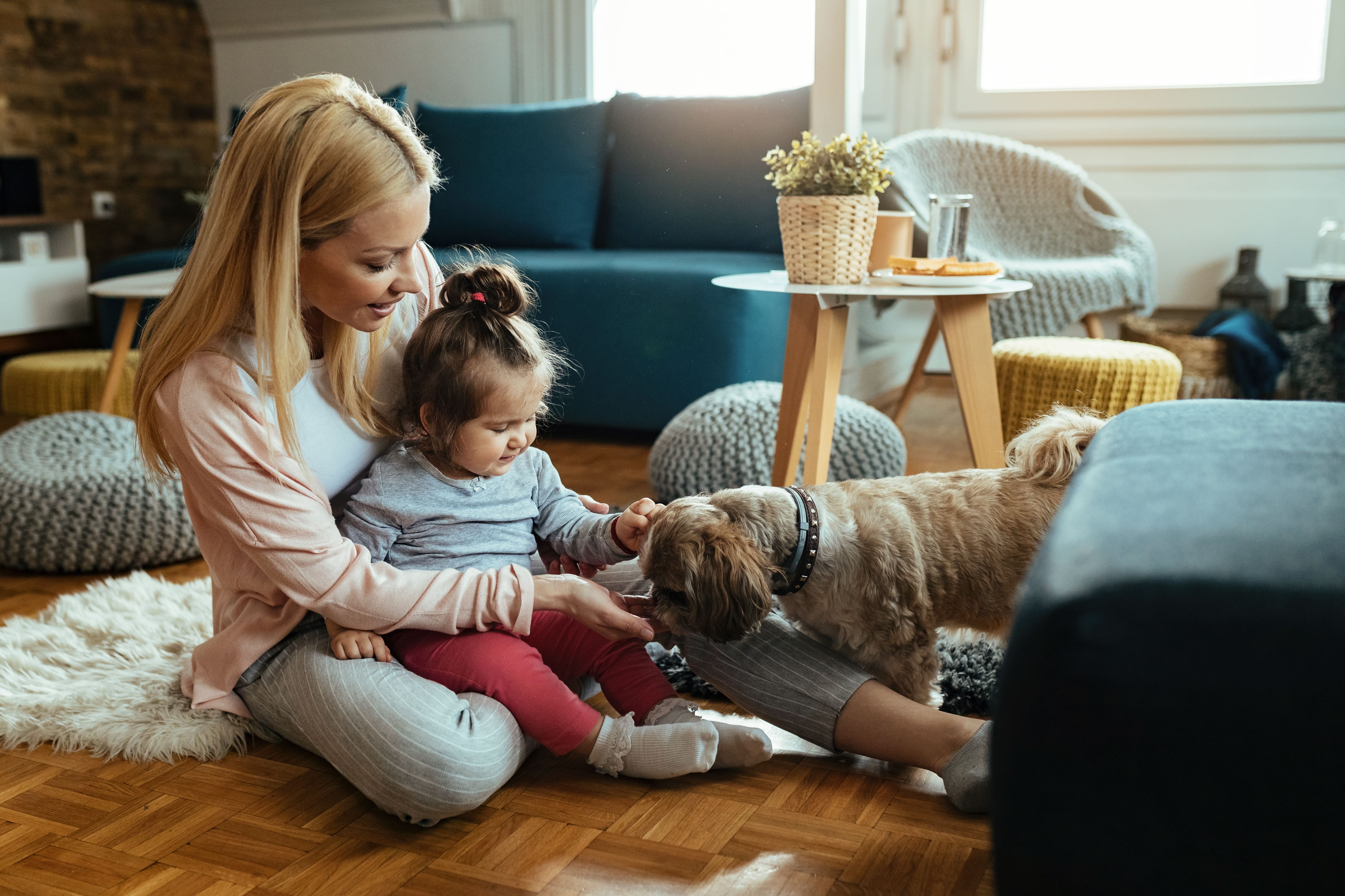 Pet Health And Indoor Air Quality