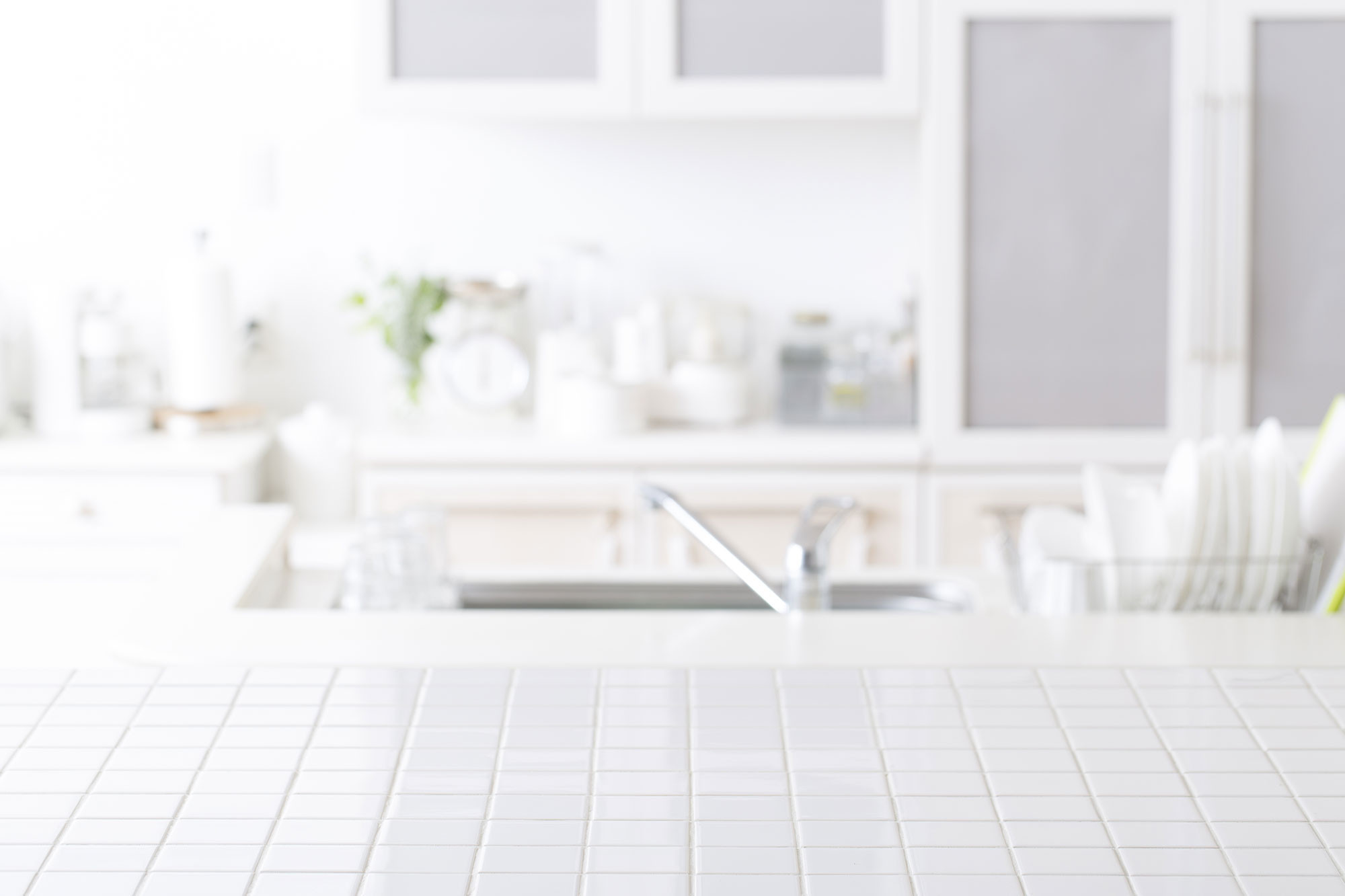 Pest Control Services Dubai