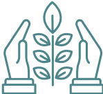 Green Organic Bed Bug Treatment