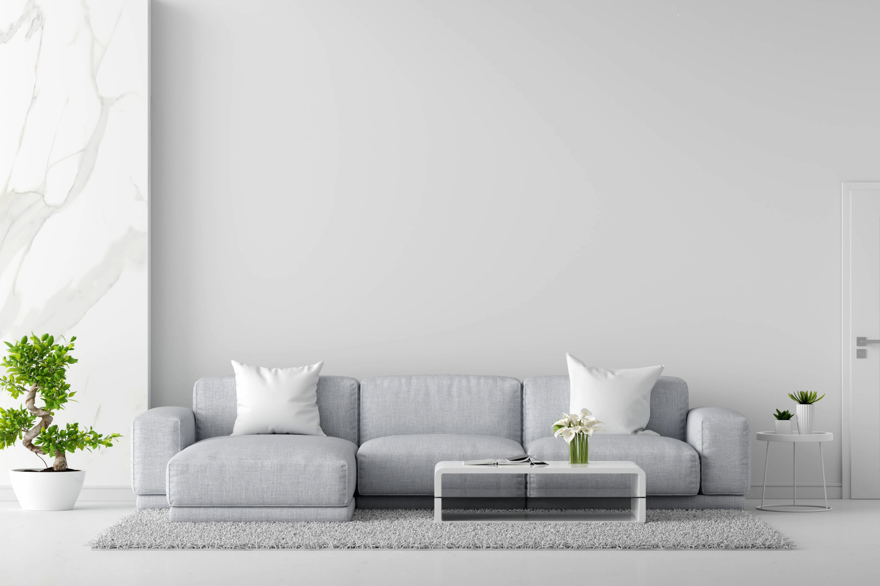 Clean Home