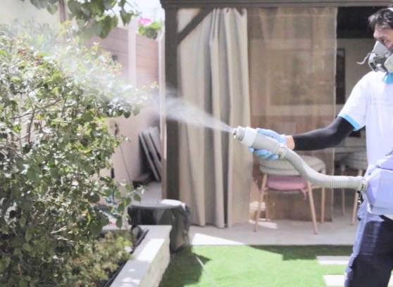 Mosquito Pest Control