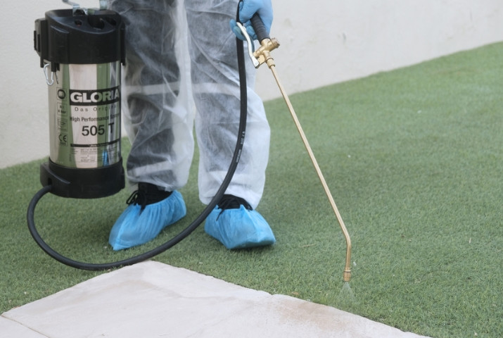 Termite Pest Control