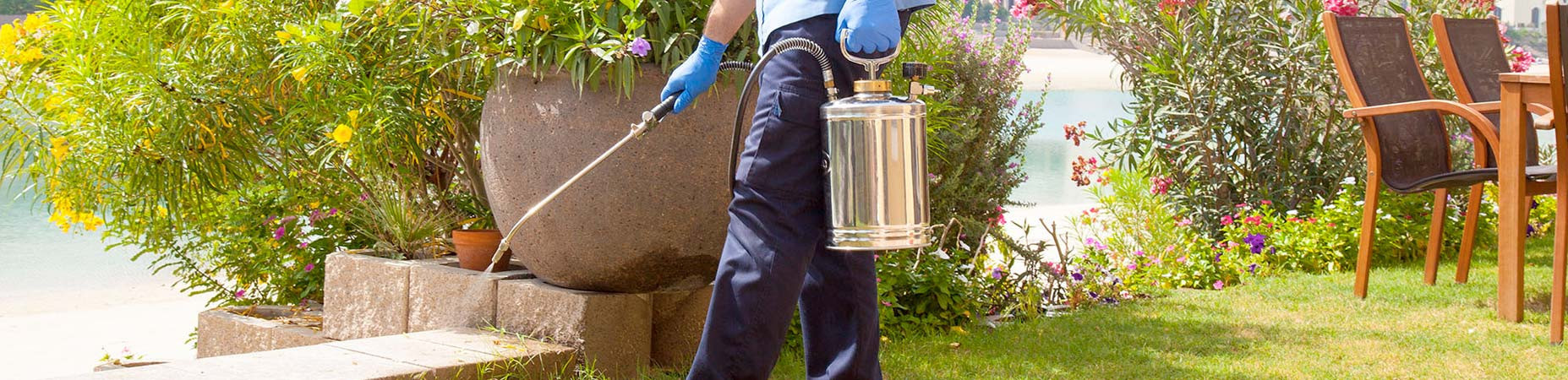 Pest Control Services