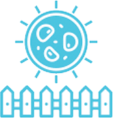 Safe Shield Attracts Pathogen