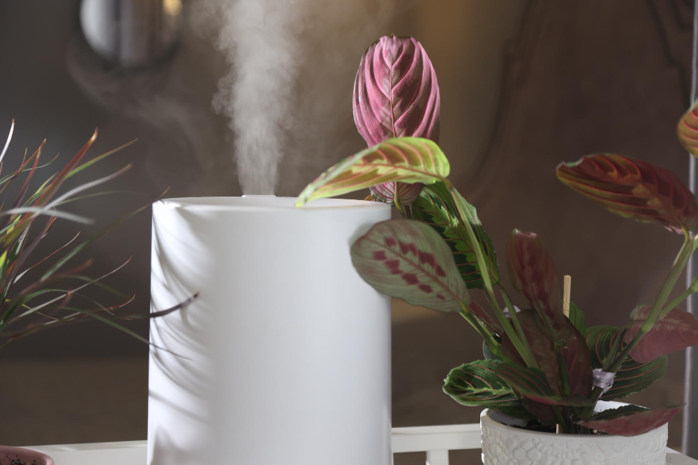 Scent Diffuser