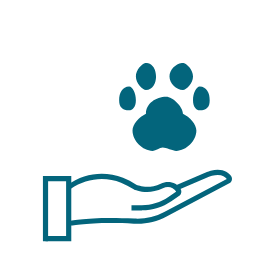 Pet Focused Expertise 1