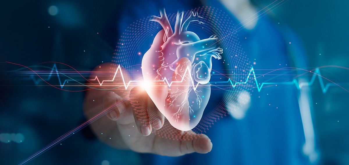 Cardiac Blood Test In Dubai