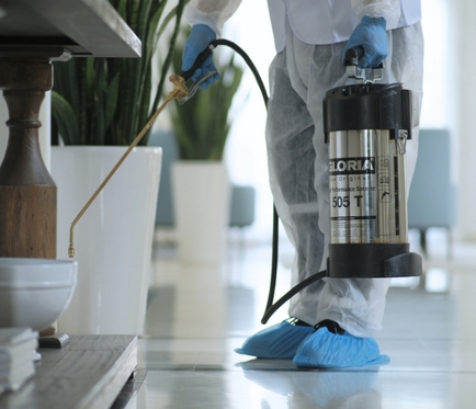Pest Control Services