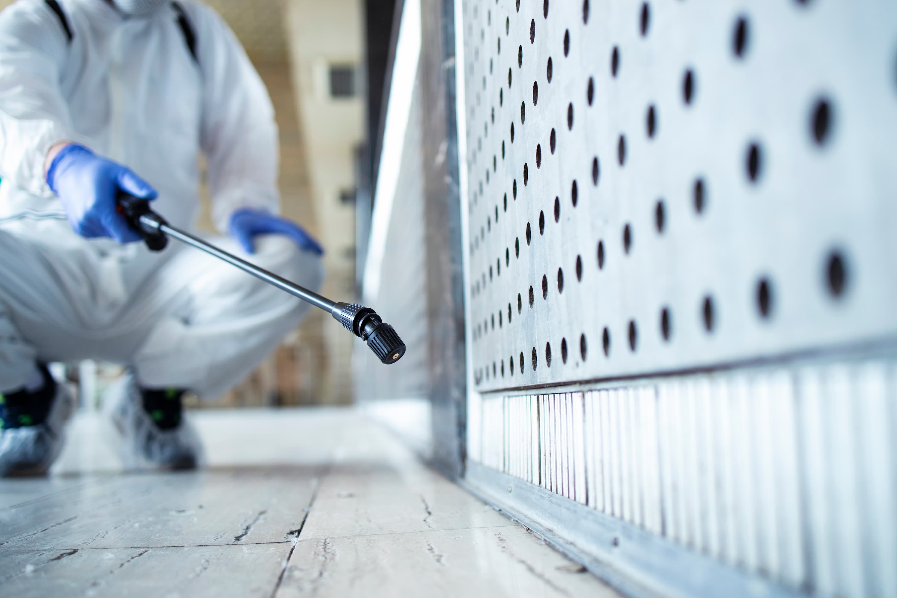 Pest Control Kuwait