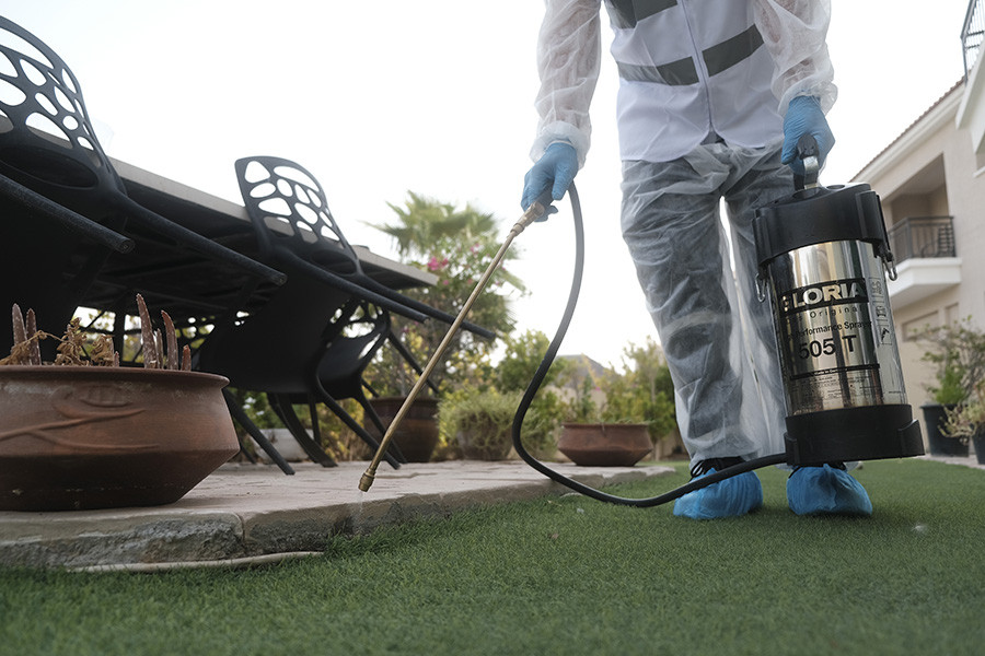 Pest Control Services