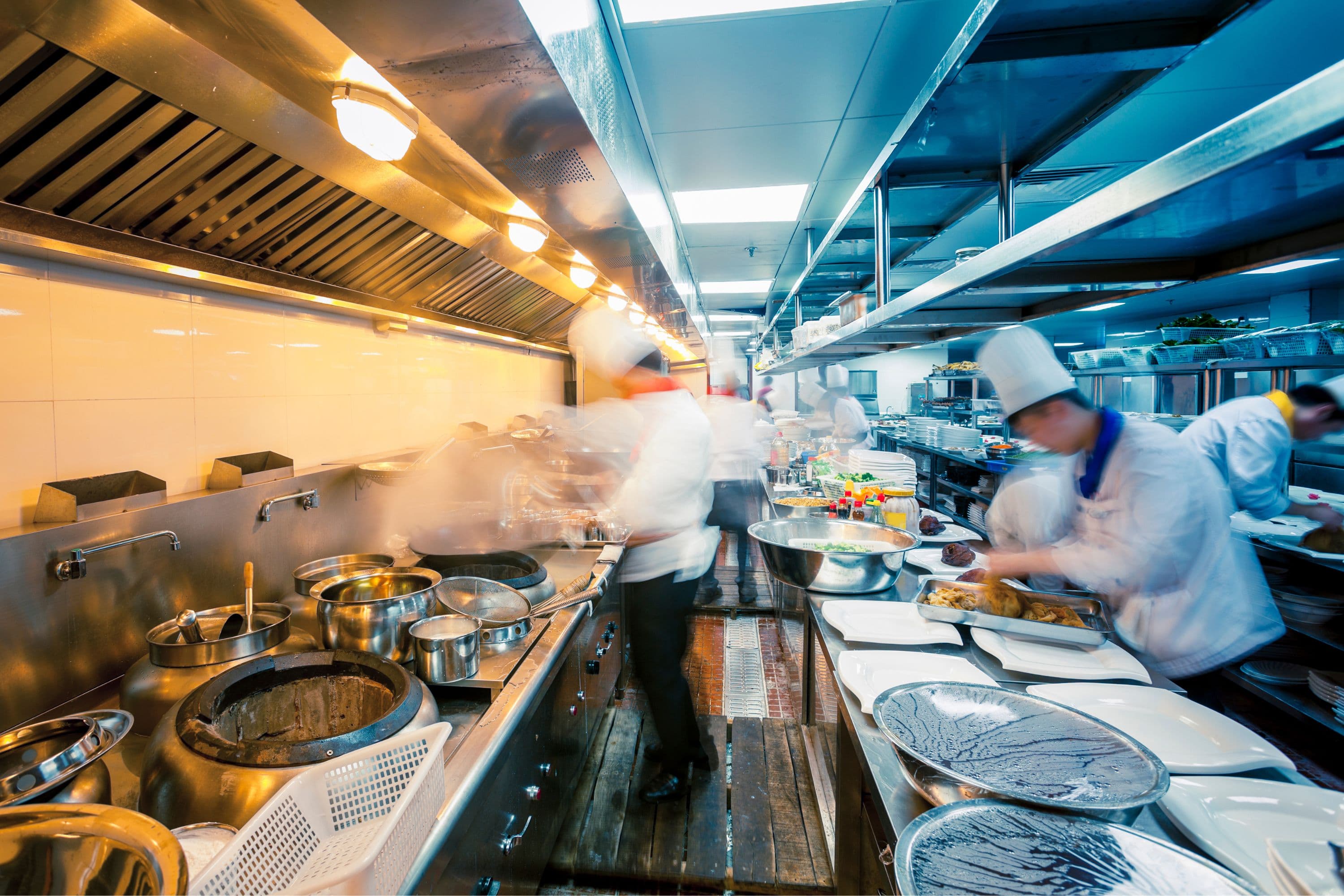 working clean pest free restaurant